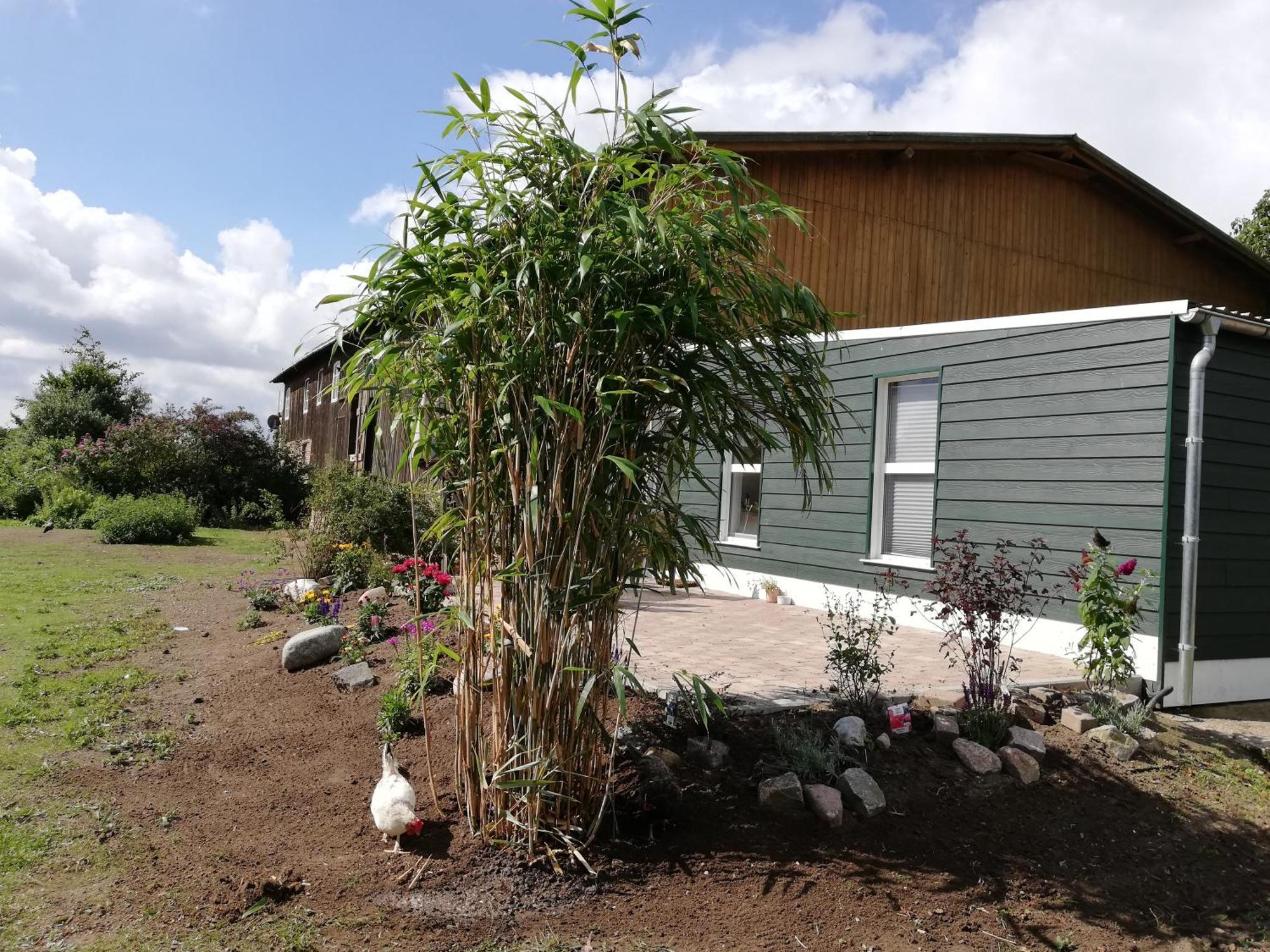 Apartamento Krüger-Hof Lübbersdorf Oldenburg in Holstein Habitación foto
